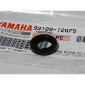 OIL SEAL
